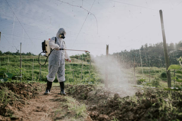 Pest Prevention Services in Flemingsburg, KY