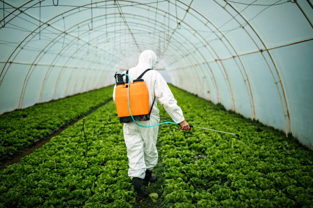Best Local Pest Control Services  in Flemingsburg, KY