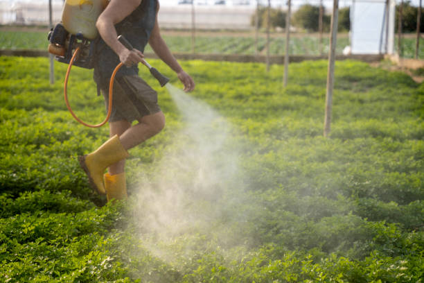 Best Wasp Removal Services  in Flemingsburg, KY