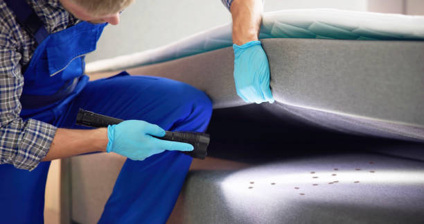 Best Pest Inspection Near Me  in Flemingsburg, KY