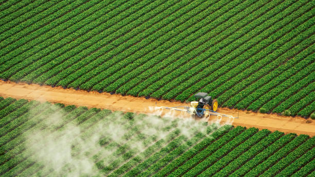 Best Commercial Pest Control Services  in Flemingsburg, KY