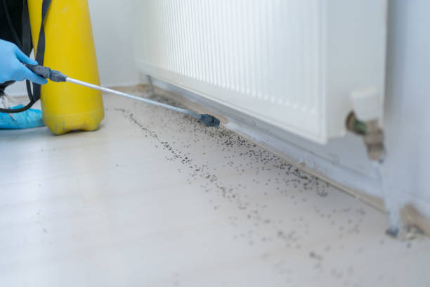 Pest Control for Restaurants in Flemingsburg, KY